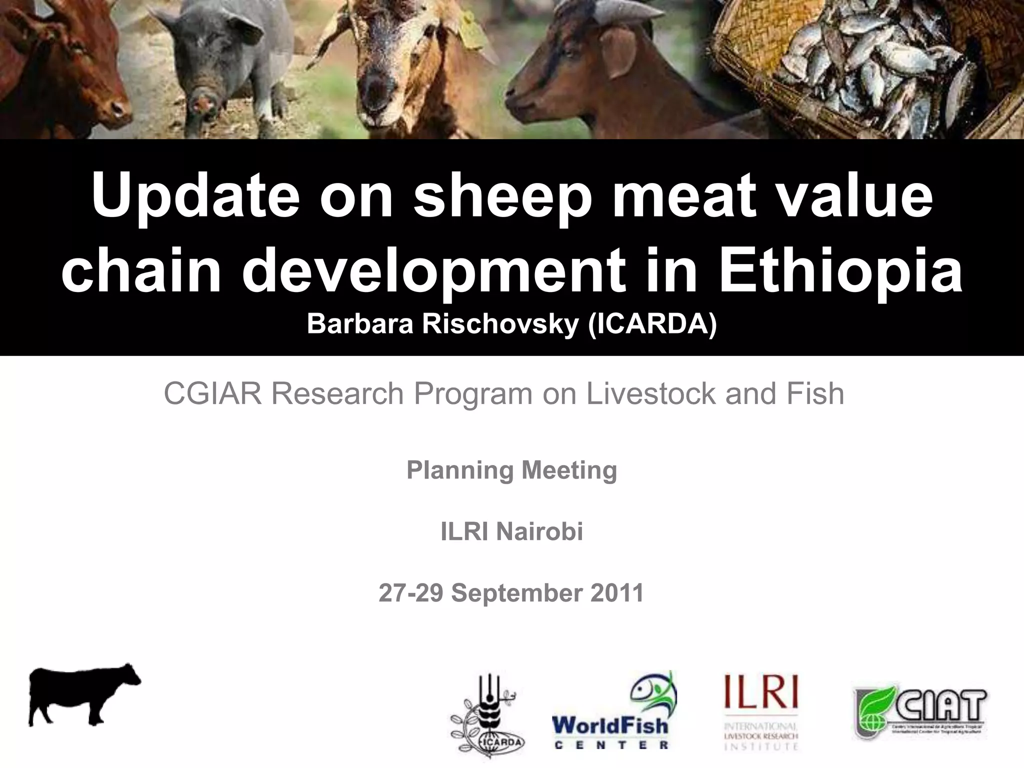 Update on sheep meat value chain development in Ethiopia | PPTX