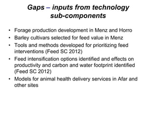 Update on sheep meat value chain development in Ethiopia