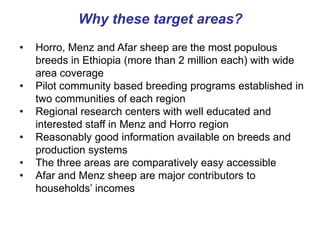 Update on sheep meat value chain development in Ethiopia