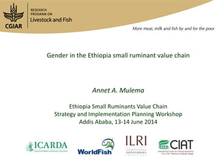 Gender in the Ethiopia small ruminant value chain
Annet A. Mulema
Ethiopia Small Ruminants Value Chain
Strategy and Implementation Planning Workshop
Addis Ababa, 13-14 June 2014
 