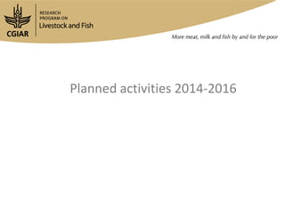 Gender in the Ethiopia small ruminant value chain