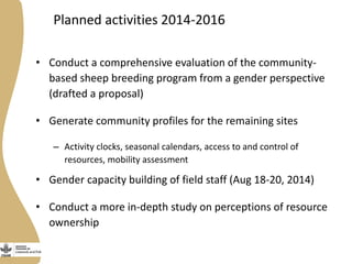 Gender in the Ethiopia small ruminant value chain