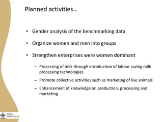 Gender in the Ethiopia small ruminant value chain