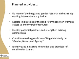 Gender in the Ethiopia small ruminant value chain