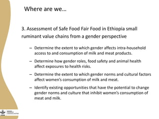 Gender in the Ethiopia small ruminant value chain