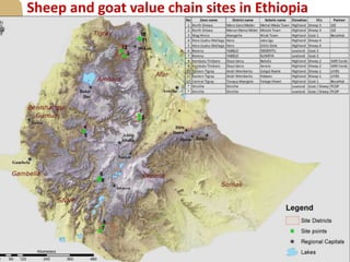 Improving the performance of pro-poor value chains of sheep and goats for enhanced livelihood, food and nutrition security in Ethiopia: Introduction to the new IFAD Project