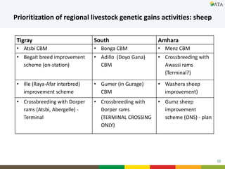 Elements of the Second Growth and Transformation Plan related to small ruminant development in Ethiopia