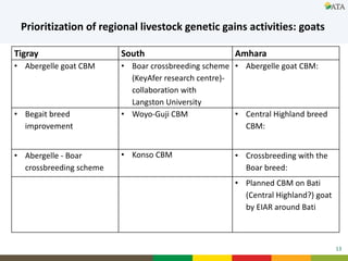 Elements of the Second Growth and Transformation Plan related to small ruminant development in Ethiopia
