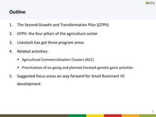 Elements of the Second Growth and Transformation Plan related to small ruminant development in Ethiopia
