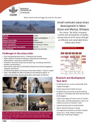 • Enabling farmers access sustainable feed
supply strategies
• Improving animal health services
• Establishing community-based breeding
programs, including improved reproductive
technologies
• Improving supply of and access to market
information and developing the culture of
collective action at farmers’ level
• Improving livestock market facilities
• Needs-based training on sheep
management practices and other related
issues (e.g., feed, health, breeding,
fattening, marketing linkages)
Research and development
‘best bets’
Challenges in the value chain
Small ruminant value chain
development in Menz
(Gera and Mama), Ethiopia
Our vision: “By 2020, increased
income and consumption of quality
sheep meat of all VC actors through
an effective and sustainable Menz
sheep value chain”
• Farm and grazing land scarcity – limiting access to feed
• High incidence of infectious diseases and parasites (sheep pox,
pasteurellosis, coenurosis, and liver fluke)
• Limited or no access to key rural services (e.g., financing, veterinary
facilities and extension)
• Information asymmetry and limited horizontal and vertical integration
along the value chain
• Limited selling options for farmers in the local markets – buyer’s market
• Gap in knowledge and skills of producers and extension agents in
improved husbandry, disease prevention and market-orientation
including attaining export quality
Altitude >2800
Habitat Tepid, cool highland
Distance from Addis 280km
Production system Sheep-barley
Human population 324,705 (as of 2013)
% of female headed households 18.7%
Major products Meat (live animals)
This is a product of the CGIAR research programs on Livestock and Fish (2012-2016) and LIVESTOCK (2017-2022) as
well as the International Fund for Agricultural Development (IFAD)-funded SmaRT Ethiopia Project - Improving the
Performance of Pro-Poor Sheep and Goat Value Chains for Enhanced Livelihoods, Food and Nutrition Security in
Ethiopia. The project is led by ICARDA in close collaboration with ILRI, national (MoLF, EIAR, ARARI) and other
international partners. The Project thanks all donors and organizations who globally support its work through their
contributions to the CGIAR system.
This document is licensed for use under the Creative Commons Attribution 4.0 International Licence. April 2017
More meat milk and eggs by and for the poor
 