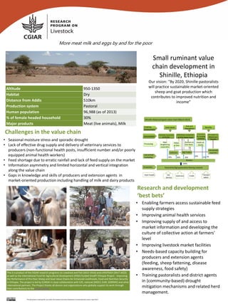 • Enabling farmers access sustainable feed
supply strategies
• Improving animal health services
• Improving supply of and access to
market information and developing the
culture of collective action at farmers’
level
• Improving livestock market facilities
• Needs-based capacity building for
producers and extension agents
(feeding, sheep fattening, disease
awareness, food safety)
• Training pastoralists and district agents
in (community-based) drought
mitigation mechanisms and related herd
management.
Research and development
‘best bets’
Challenges in the value chain
Small ruminant value
chain development in
Shinille, Ethiopia
Our vision: “By 2020, Shinille pastoralists
will practice sustainable market-oriented
sheep and goat production which
contributes to improved nutrition and
income”
• Seasonal moisture stress and sporadic drought
• Lack of effective drug supply and delivery of veterinary services to
producers (non-functional health posts, insufficient number and/or poorly
equipped animal health workers)
• Feed shortage due to erratic rainfall and lack of feed supply on the market
• Information asymmetry and limited horizontal and vertical integration
along the value chain
• Gaps in knowledge and skills of producers and extension agents in
market-oriented production including handling of milk and dairy products
Altitude 950-1350
Habitat Dry
Distance from Addis 510km
Production system Pastoral
Human population 96,988 (as of 2013)
% of female headed household 30%
Major products Meat (live animals), Milk
This is a product of the CGIAR research programs on Livestock and Fish (2012-2016) and LIVESTOCK (2017-2022)
as well as the International Fund for Agricultural Development (IFAD)-funded SmaRT Ethiopia Project - Improving
the Performance of Pro-Poor Sheep and Goat Value Chains for Enhanced Livelihoods, Food and Nutrition Security
in Ethiopia. The project is led by ICARDA in close collaboration with ILRI, national (MOLF, EIAR, SORPARI) and other
international partners. The Project thanks all donors and organizations who globally support its work through
their contributions to the CGIAR system.
This document is licensed for use under the Creative Commons Attribution 4.0 International Licence. April 2017
More meat milk and eggs by and for the poor
 