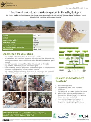 • Address feed shortages
• Improve animal health (input supply and
production)
• Improve market access and marketing strategies
• Needs-based capacity building for producers
and extension agents (feeding, sheep fattening,
disease awareness, food safety)
• Training pastoralists and district agents in
(community-based) drought mitigation
mechanisms and related herd management.
Research and development
‘best bets’
Challenges in the value chain
This document is licensed for use under a Creative Commons Attribution-Noncommercial-Share Alike 3.0 Unported Licence
May 2013
Small ruminant value chain development in Shinelle, Ethiopia
Our vision: “By 2020, Shinelle pastoralists will practice sustainable market-oriented sheep and goat production which
contributes to improved nutrition and income”
• High mortality and morbidity through diseases and parasites
• Lack of effective drug supply and delivery of veterinary services to producers (non-
functional health posts, insufficient number and/or poorly equipped animal health
workers)
• Feed shortage due to erratic rainfall and lack of feed supply on the market
• High mortality and morbidity due to frequent droughts
• Gap in knowledge and skills of producers and extension agents in market-oriented
production including handling of milk and dairy products
• Poor linkage of producers to the markets, no market information, poor horizontal
and vertical linkages between producers, traders and abattoirs/consumers
Altitude 950-1350
Habitat Dry
Distance from Addis 510km
Production system Pastoral
Human population 96,988
% of female headed household 30
Major products Meat, Milk
Partners: SoRPARI, MoA, Woreda Admin, ACDI/VOCA,
ICARDA, ILRI, PRIME, Oxfam, PCDP, FAO
http://livestockfish.cgiar.org
 