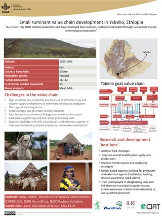 • Address feed shortages
• Improve animal health(input supply and
production)
• Improve market access and marketing
strategies
• Needs-based capacity building for producers
and extension agents (husbandry, feeding,
disease awareness, food safety)
• Train unemployed in slaughtering skills and
link them to municipal slaughterhouses,
create awareness in hotel and restaurants to
use qualified personnel
Research and development
‘best bets’
Challenges in the value chain
This document is licensed for use under a Creative Commons Attribution-Noncommercial-Share Alike 3.0 Unported Licence
May 2013
Small ruminant value chain development in Yabello, Ethiopia
Our vision: “By 2020, Yabello pastoralists will have improved their incomes, nutrition and health through sustainable market
oriented goat production”
• High mortality and morbidity due to a lack of effective drug and
vaccine supply and delivery of veterinary services to producers
• Shortage of breeding bucks
• Feed shortage due to erratic rainfall/droughts
• Poor horizontal and vertical linkages, no market information
• Backyard slaughtering and poor meat processing skills
• Gap in knowledge and skills of producers and extension agents in
improved husbandry, disease prevention and market-orientation
Partners: MoA, OPADC, Woreda PDO, Woreda administration,
ICARDA, ILRI, OARI, Farm Africa, GAYO Pastoral Initiative,
World vision, Care, SOS Sahel, AFD, NVI, FAO, PCDP
Altitude 1200-1764
Habitat Dry
Distance from Addis 570km
Production system Pastoral
Human population 16,112
% of female headed household 15
Major products Meat, Milk
Yabello goat value chain
http://livestockfish.cgiar.org
 