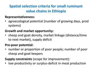 Sheep and goat value chains development in Ethiopia: Update on progress 