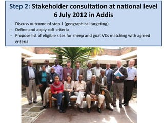 Sheep and goat value chains development in Ethiopia: Update on progress 