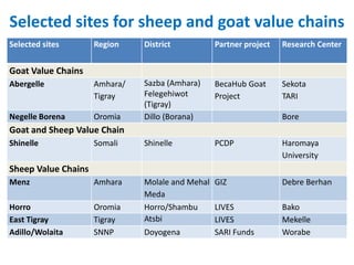 Sheep and goat value chains development in Ethiopia: Update on progress 