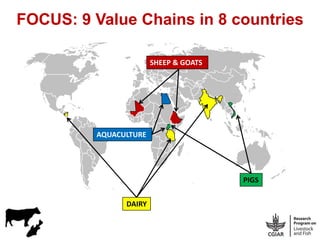 Sheep and goat value chains development in Ethiopia: Update on progress 