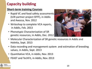 Update on the Ethiopia sheep and goats value chain development project ...