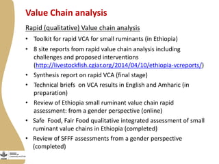 Update on the Ethiopia sheep and goats value chain development project