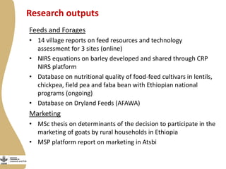 Update on the Ethiopia sheep and goats value chain development project