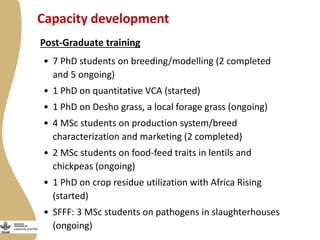 Update on the Ethiopia sheep and goats value chain development project