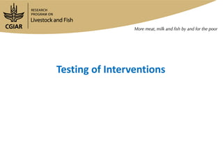 Update on the Ethiopia sheep and goats value chain development project