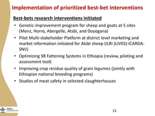 Update on the Ethiopia sheep and goats value chain development project