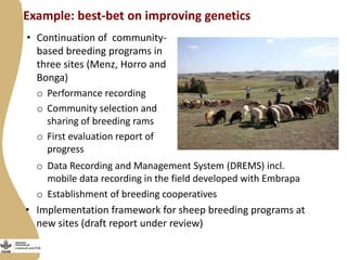 Update on the Ethiopia sheep and goats value chain development project