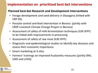 Update on the Ethiopia sheep and goats value chain development project