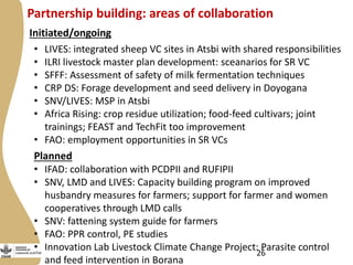 Update on the Ethiopia sheep and goats value chain development project