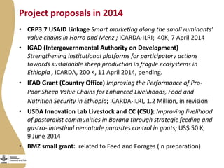 Update on the Ethiopia sheep and goats value chain development project