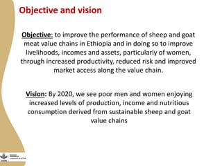 Update on the Ethiopia sheep and goats value chain development project