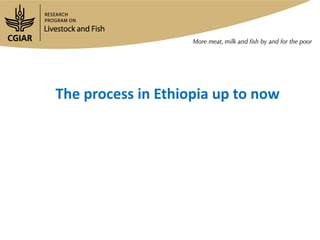 Update on the Ethiopia sheep and goats value chain development project