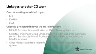 Linkages to other CG work
Centres working on related topics:
• ILRI
• ICARDA
• CIAT
Ongoing projects/Initiatives we are li...