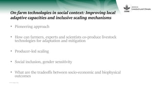 On-farm technologies in social context: Improving local adaptive capacities and inclusive scaling mechanisms in Ethiopia