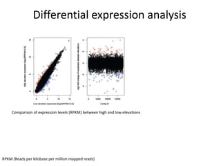 Differential expression analysis
Comparison of expression levels (RPKM) between high and low elevations
RPKM (Reads per ki...