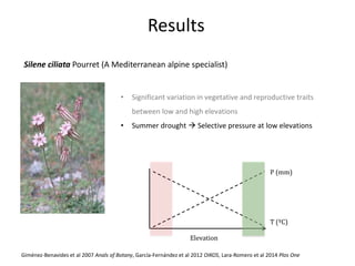 Silene ciliata Pourret (A Mediterranean alpine specialist)
Results
• Significant variation in vegetative and reproductive ...