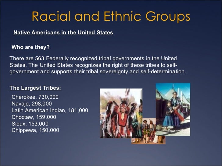 Essay on race and ethnicity in america