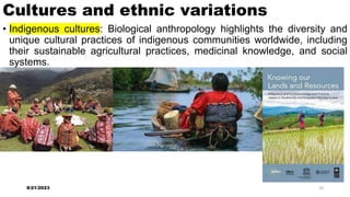 Cultures and ethnic variations
• Indigenous cultures: Biological anthropology highlights the diversity and
unique cultural practices of indigenous communities worldwide, including
their sustainable agricultural practices, medicinal knowledge, and social
systems.
8/21/2023 10
 