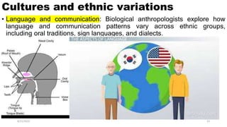 Cultures and ethnic variations
• Language and communication: Biological anthropologists explore how
language and communication patterns vary across ethnic groups,
including oral traditions, sign languages, and dialects.
8/21/2023 23
 