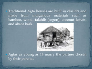  Traditional Agta houses are built in clusters and
made from indigenous materials such as
bamboo, wood, talahib (cogon), coconut leaves,
and abaca bark.
 Agtas as young as 14 marry the partner chosen
by their parents.
 