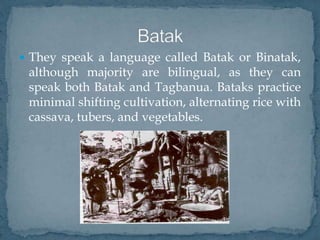  They speak a language called Batak or Binatak,
although majority are bilingual, as they can
speak both Batak and Tagbanua. Bataks practice
minimal shifting cultivation, alternating rice with
cassava, tubers, and vegetables.
 