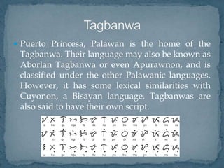  Puerto Princesa, Palawan is the home of the
Tagbanwa. Their language may also be known as
Aborlan Tagbanwa or even Apurawnon, and is
classified under the other Palawanic languages.
However, it has some lexical similarities with
Cuyonon, a Bisayan language. Tagbanwas are
also said to have their own script.
 