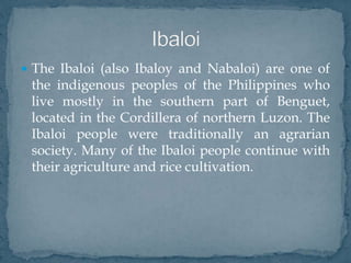  The Ibaloi (also Ibaloy and Nabaloi) are one of
the indigenous peoples of the Philippines who
live mostly in the southern part of Benguet,
located in the Cordillera of northern Luzon. The
Ibaloi people were traditionally an agrarian
society. Many of the Ibaloi people continue with
their agriculture and rice cultivation.
 