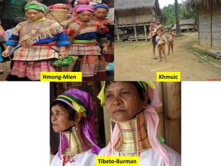 KhmuicHmong-Mien
Tibeto-Burman
 
