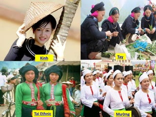 Kinh Tay
Tai Ethnic Mường
 