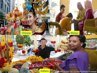 Chinese Malays
Indians
 