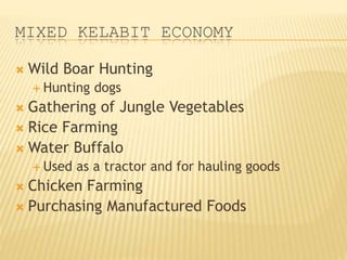 MIXED KELABIT ECONOMY
 Wild Boar Hunting
 Hunting dogs
 Gathering of Jungle Vegetables
 Rice Farming
 Water Buffalo
 Used as a tractor and for hauling goods
 Chicken Farming
 Purchasing Manufactured Foods
 