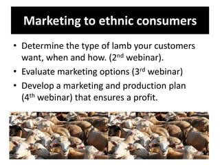 Marketing to ethnic consumers
• Determine the type of lamb your customers
want, when and how. (2nd webinar).
• Evaluate ma...