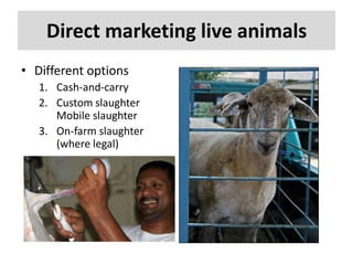 Direct marketing live animals
• Different options
1. Cash-and-carry
2. Custom slaughter
Mobile slaughter
3. On-farm slaughter
(where legal)

 